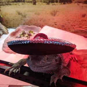 Meet your Posher, Frederique